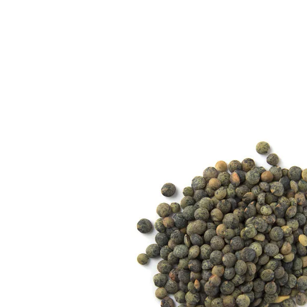 Canadian Puy Style Green Lentils 450g